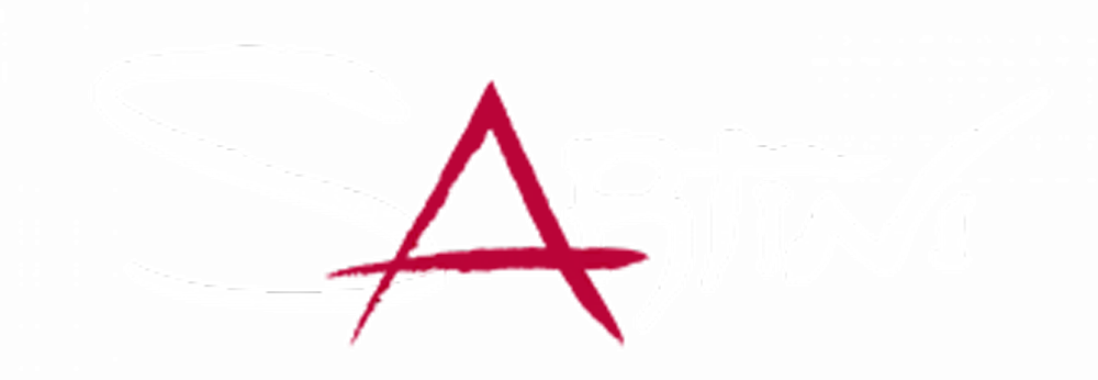Sartini Srl